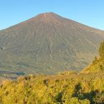 Pergasingan